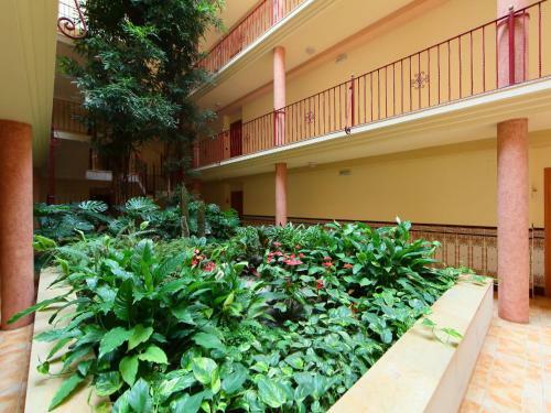 Apartment Golden Beach I St Carles R�pita