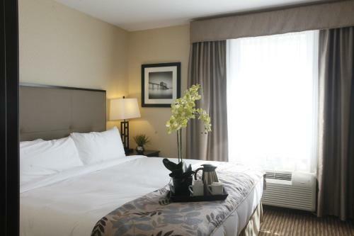 Hotel Pomeroy Inn & Suites At Olds College