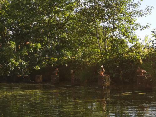 Apartamento Ferienwohnung Wollgast