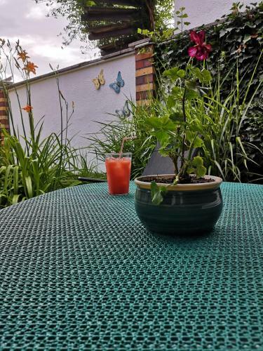 Apartamento Ferienwohnung Wollgast