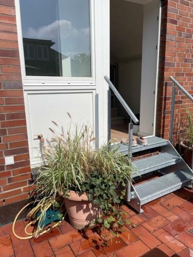 Apartamento Loft Sternenblick