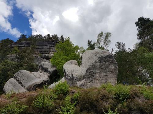 Posada Gasthof Alte Schmiede G*** L�ckendorf