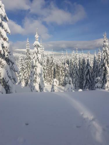 Posada Gasthof Alte Schmiede G*** L�ckendorf