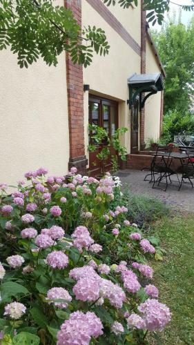 Hostal Pension Am Holzgraben