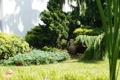 Apartamento Spreewald-domizil