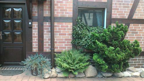 Apartamento Ferienanlage Sommerfeld