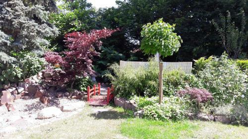 Bed & Breakfast Ferienzimmer T�ubchen