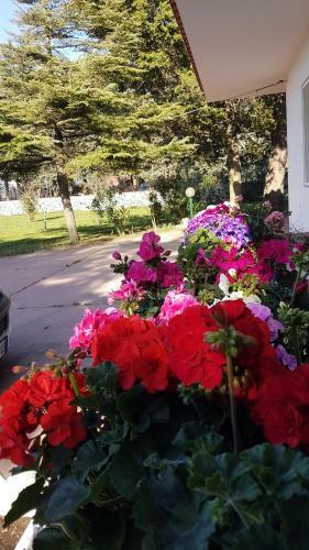 Hostal La Dimora Di Nonno Nuccio