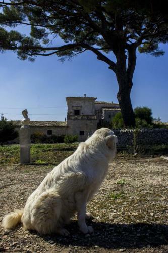 Villa Castiglione 1863 - The Real Sicilian Holiday