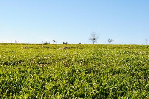 Bed & Breakfast Casale Clemente Beb