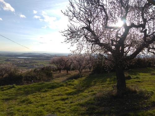 Camping Castillo De Loarre