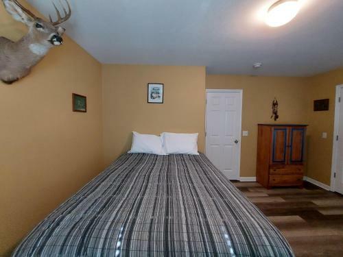 Blue Bird Hill - Excellent Location - Middle Of Branson - Huge Deck - So Good!