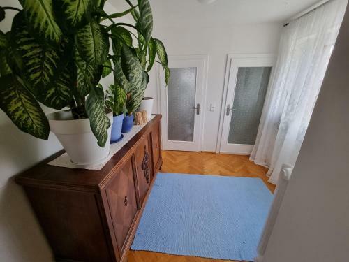 Apartamento Ferienwohnung Kirsten
