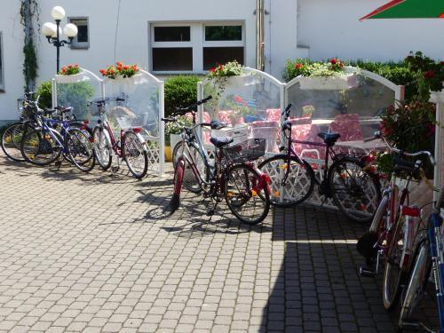 Hotel Dorotheenhof