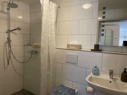 Apartment Sanja