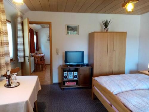 Mountain Apartment In St Blasien With Balcony
