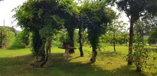 Bed & Breakfast Alle Zagare
