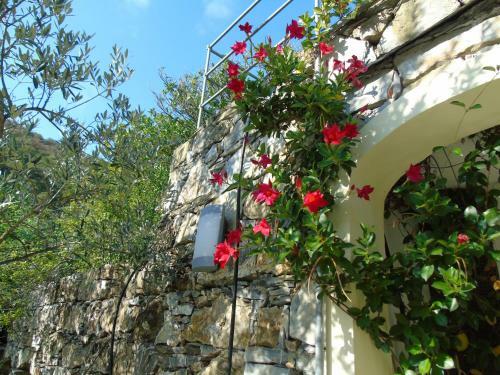 Apartamento Dependance Belvedere