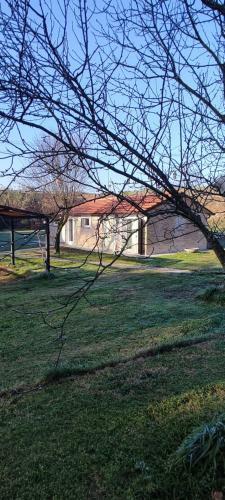 Apartamento A Casa Di Leo