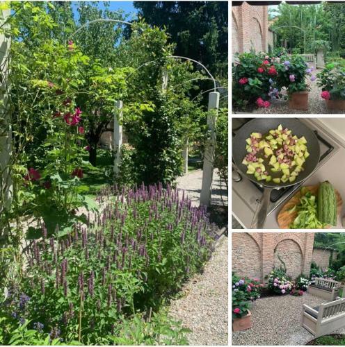 Apartamento Secret Garden And Cozy Flat
