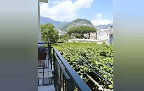 A Casa Di Pissi - Apartment