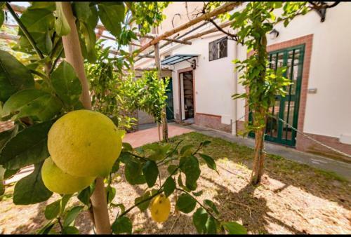 Apartamento Ravello View