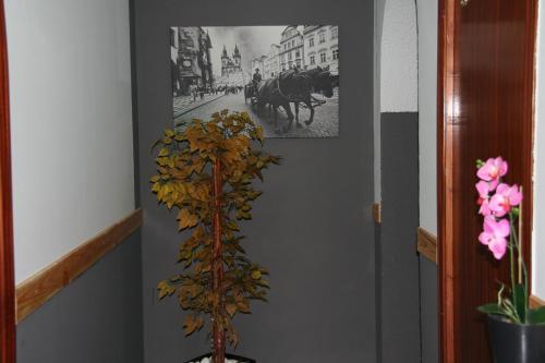Hostal Restaurante Avenida De Madrid