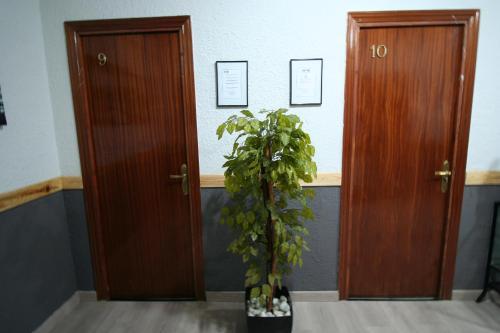 Hostal Restaurante Avenida De Madrid