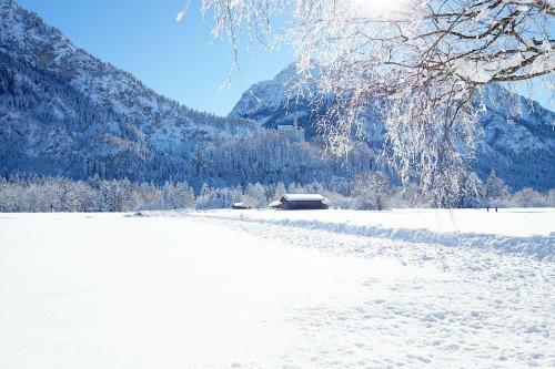 Hostal Hotel Waldmann