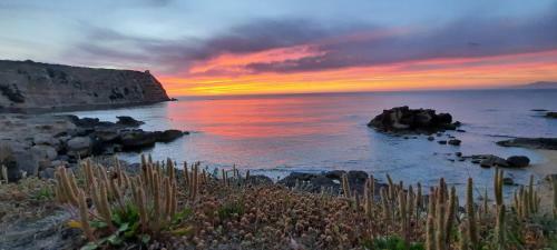 Apartamento Casa Diana P3115