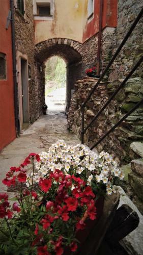 Bed & Breakfast Borgo Di Codeglia - Country Rooms