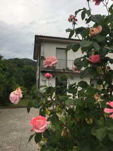 Apartamento La Magnolia