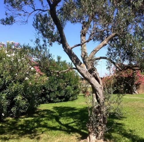 Villa Con Piscina In Abruzzo - A 7 Minuti Dal Mare