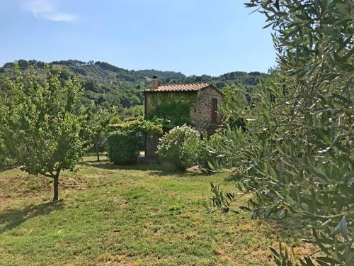 Ferienhaus Il-pino