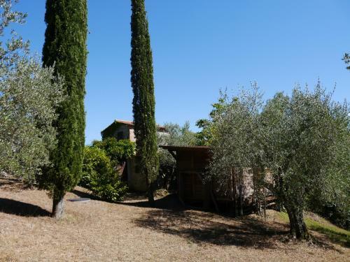 Ferienhaus Il-pino