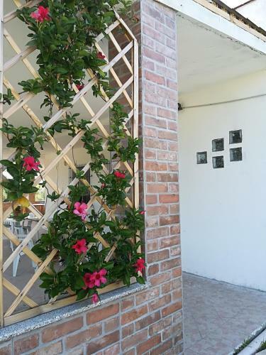 Hostal Il Podere