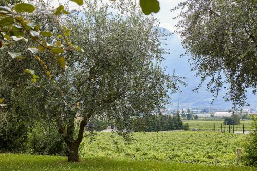 Apartamento Residenza Alle Grazie