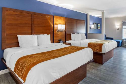 Hotel Comfort Suites St Louis - Sunset Hills