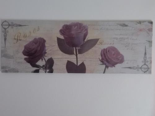 Apartamento House Rose