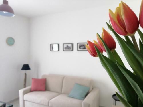 Apartamento Nonna Lucia - Casa Vacanze