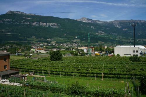 Apartamento C� Delle Rose