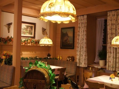 Hotel Europark International