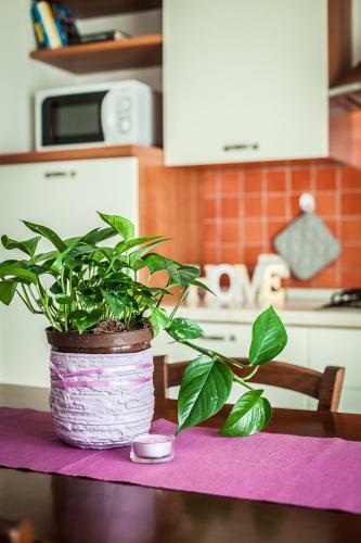 Apartamento Residenza Aurora Del Mare