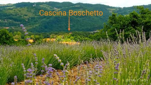 Bed & Breakfast Cascina Boschetto