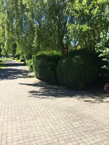 Apartamento Ferienwohnung Thiergarten
