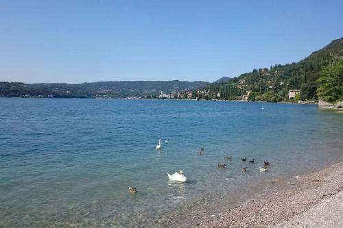 Apartamento La Maisonette Du Relax