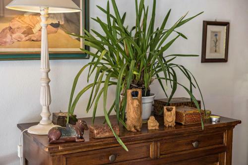 Apartamento Casa Gasparo