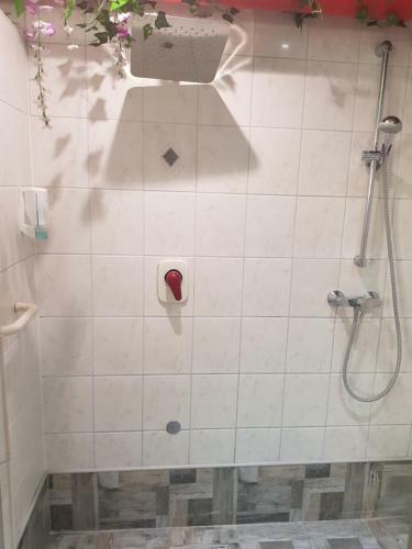Harzhotel Regina