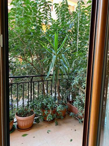 Apartamento Appartamento Mercatello