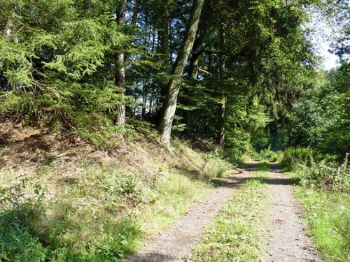 Apartamento Ferienwohnung Familie Jacobi "kurf�rst"
